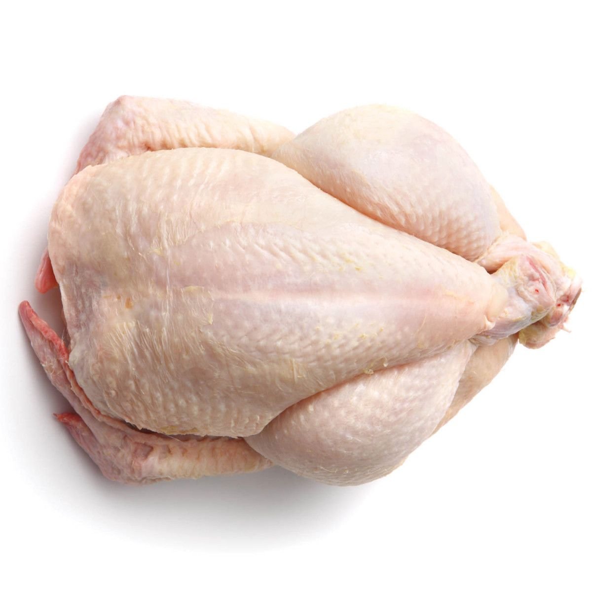 Halal Certified Frozen Whole Chicken